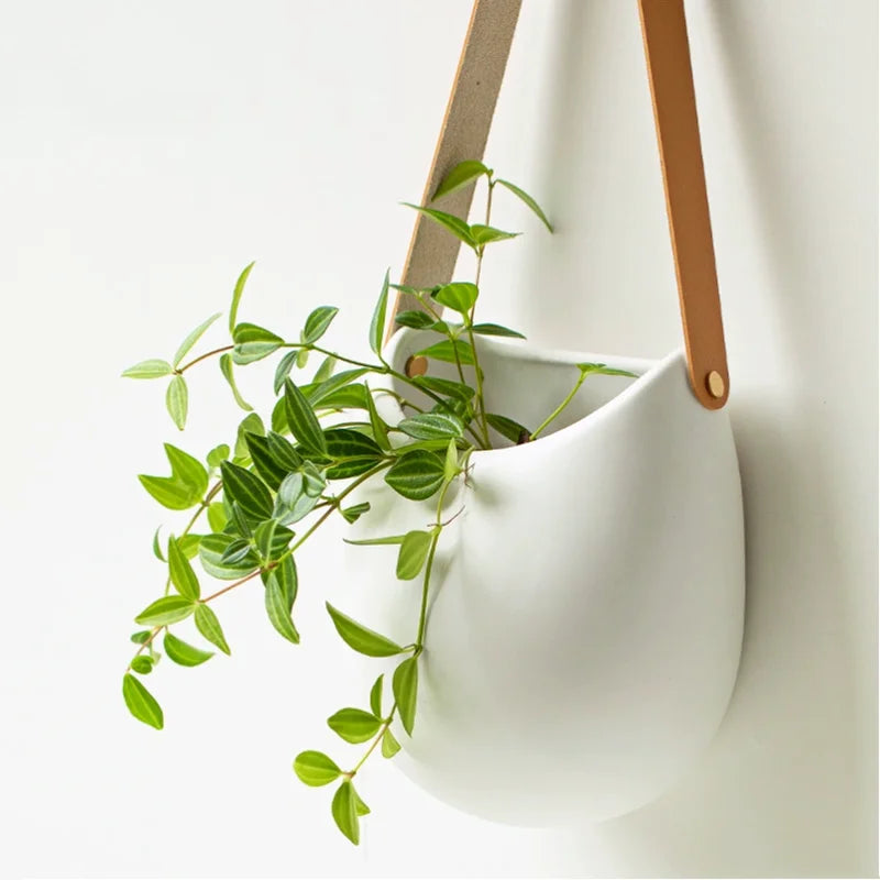 EcoWall Modern Ceramic Hydroponic Hanging Basket